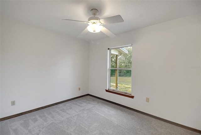 9236 County Road 48, Yalaha, FL 34797 - photo 14