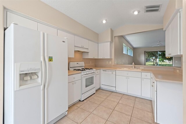 22217 Caledonia Dr, Leesburg, FL 34748 - photo 13