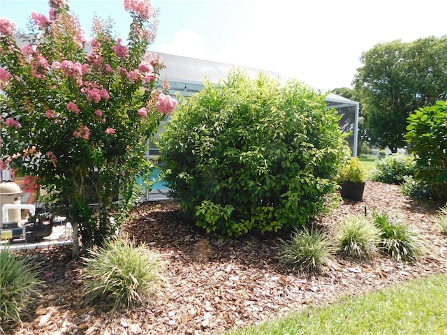 17819 SE 105th Ct, Summerfield, FL 34491 - view of yard featuring a lanai