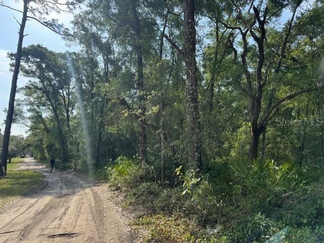 4819 SW 123rd Rd, Webster, FL 33597