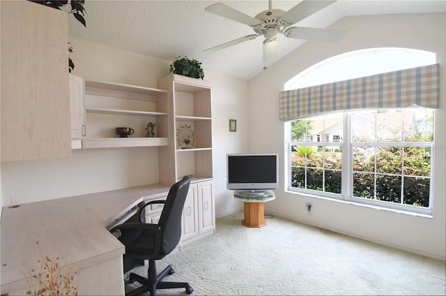 2120 Willow Grove Way, The Villages, FL 32162 - office with light carpet, lofted ceiling, ceiling fan, and a textured ceiling