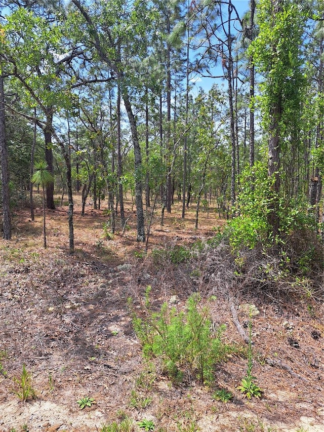 Hemlock Ave NW, Dunnellon, FL 34431