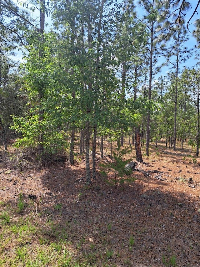 Hemlock Ave NW, Dunnellon, FL 34431