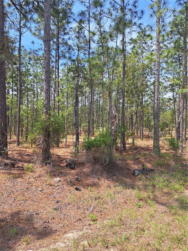 Hemlock Ave NW, Dunnellon, FL 34431