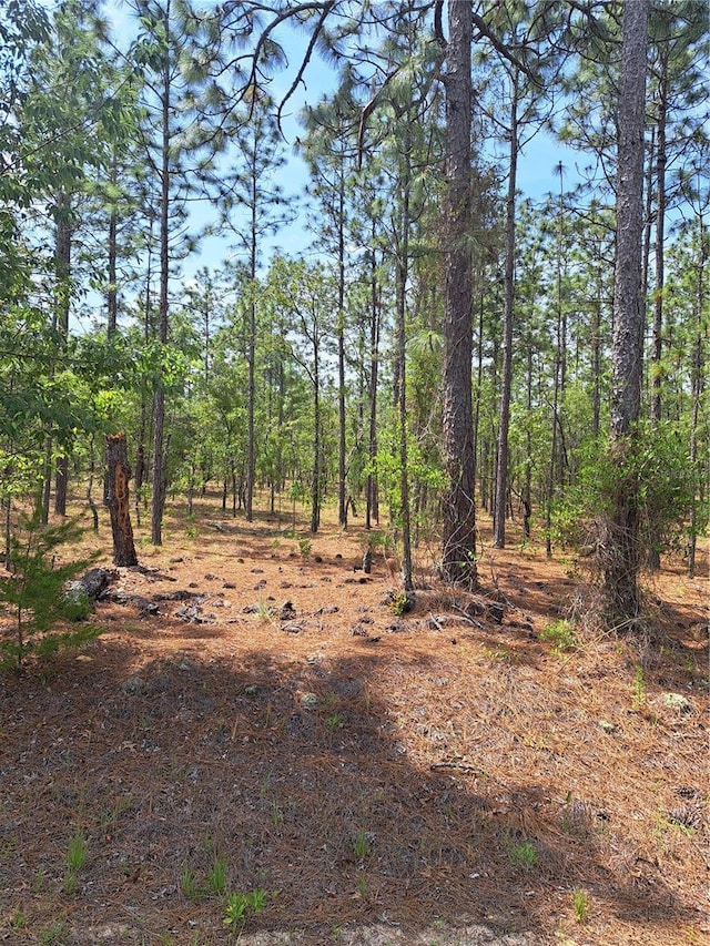 Hemlock Ave NW, Dunnellon, FL 34431