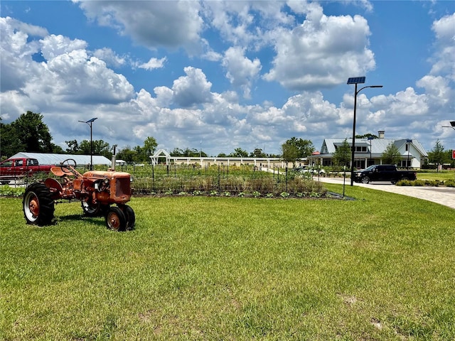 17677 Nectar Flume Dr, Land O Lakes, FL 34637 - view of grassy yard