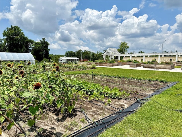 17677 Nectar Flume Dr, Land O Lakes, FL 34637 - view of property's community featuring a vegetable garden, an exterior structure, a gazebo, an outbuilding, and a yard