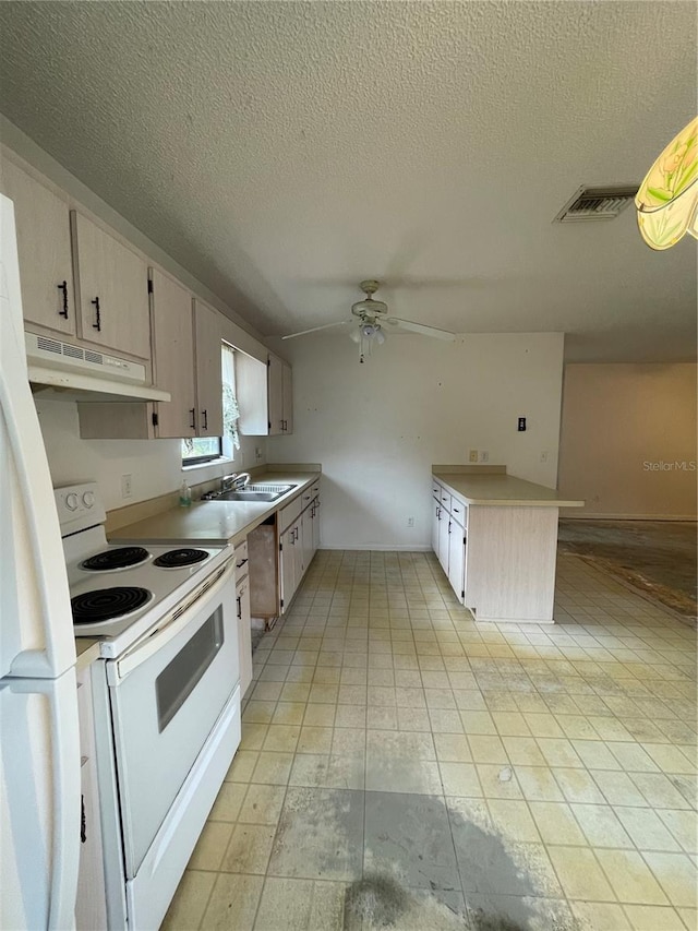 2421 Centennial Blvd, Leesburg, FL 34748 - kitchen with white appliances, under cabinet range hood, a sink, a textured ceiling, and ceiling fan