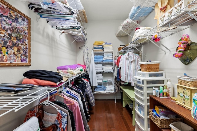 walk in closet with wood finished floors