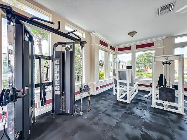 3731 Peaceful Valley Dr, Clermont, FL 34711 - exercise room with plenty of natural light