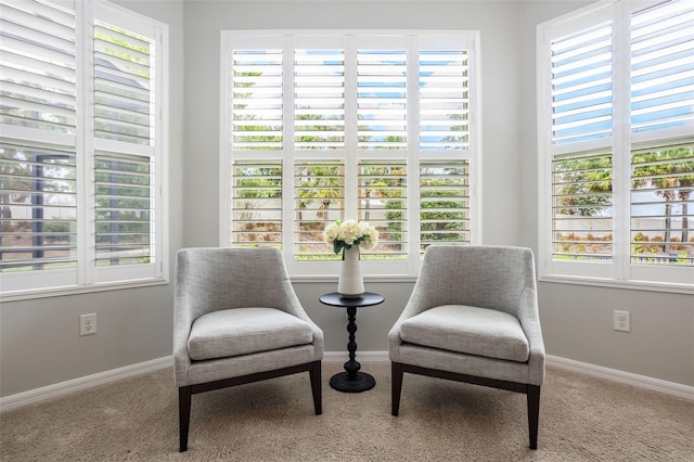 1027 Timbervale Trl, Clermont, FL 34715 - living area with carpet flooring and plenty of natural light