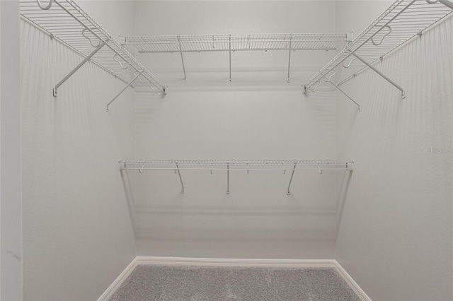 1027 Timbervale Trl, Clermont, FL 34715 - spacious closet featuring carpet floors