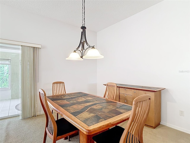 2202 Kershaw Rd, The Villages, FL 32162 - dining room featuring light colored carpet, baseboards, and a textured ceiling