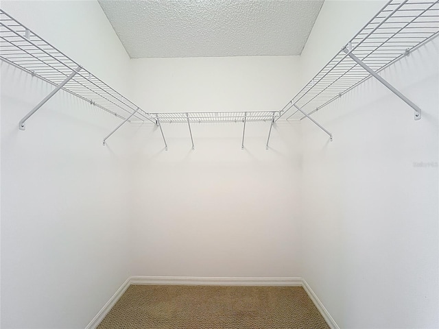 2202 Kershaw Rd, The Villages, FL 32162 - walk in closet with light carpet