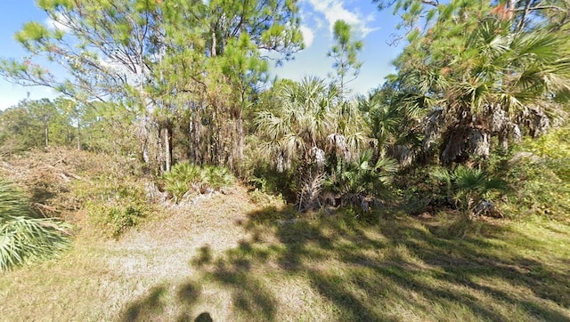 26224 Deer Rd, Punta Gorda, FL 33955