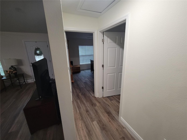 hall featuring dark wood-type flooring, baseboards, and attic access