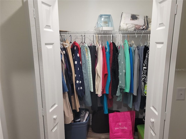 view of closet