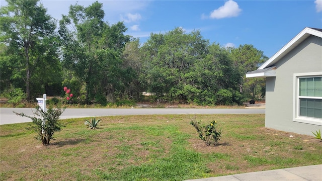 view of grassy yard