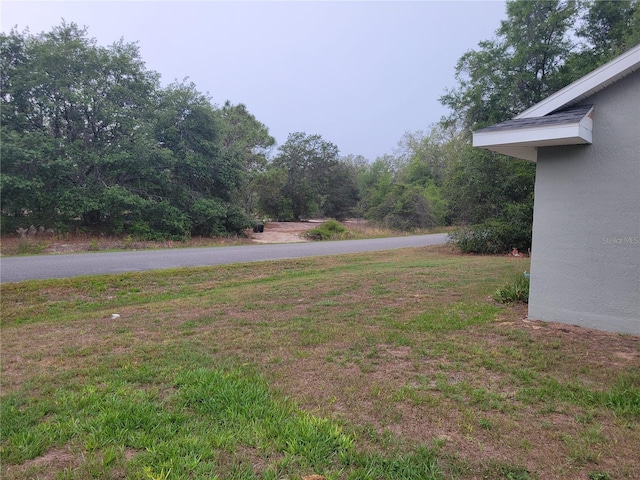view of grassy yard