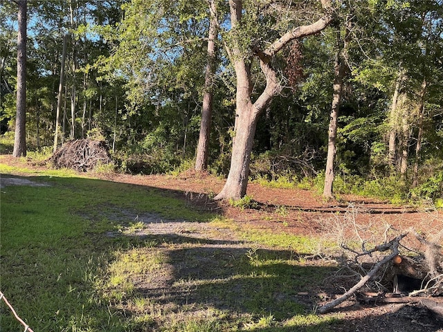 182 SW Bambi Ln, Lake City, FL 32025 - photo 23