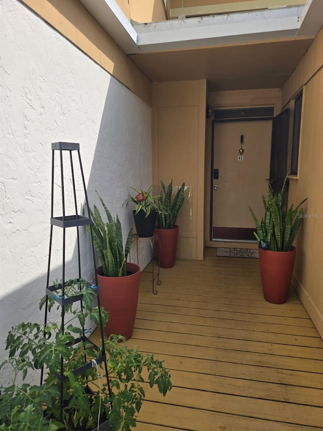 1051 S Highland St Unit 4-E, Mount Dora, FL 32757 - view of exterior entry featuring stucco siding