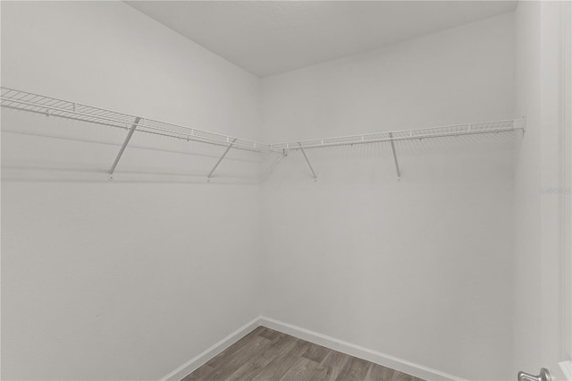 3745 Causey Ct, The Villages, FL 32163 - walk in closet featuring wood finished floors