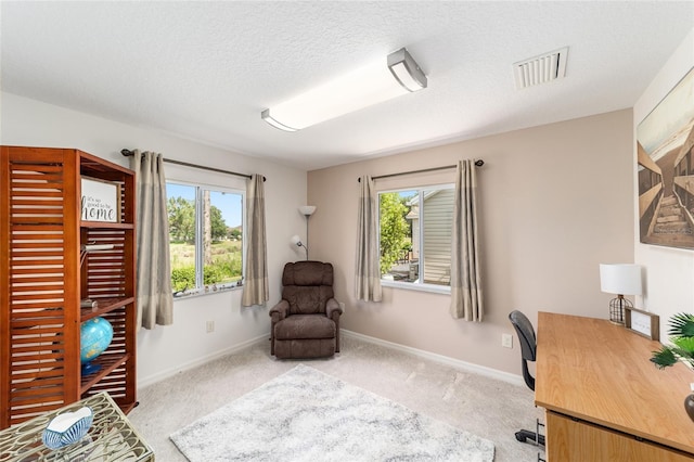3393 Talley Ridge Dr, The Villages, FL 32162 - office space with plenty of natural light, light colored carpet, baseboards, and a textured ceiling