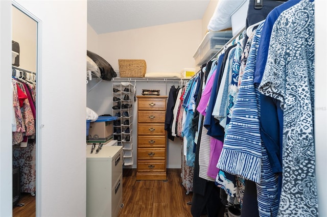 spacious closet featuring dark wood finished floors