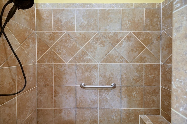 1828 Hollow Branch Way, The Villages, FL 32162 - bathroom with tiled shower