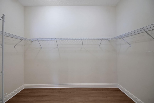1828 Hollow Branch Way, The Villages, FL 32162 - spacious closet with wood finished floors