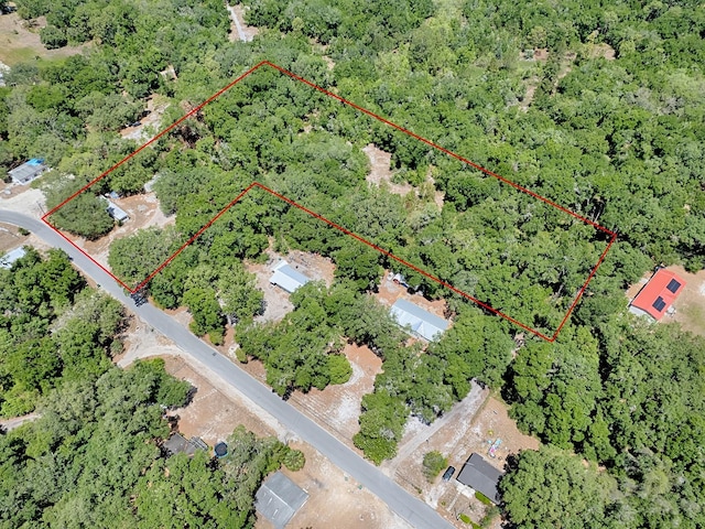 1203 High St, Wildwood, FL 34785 - photo 3