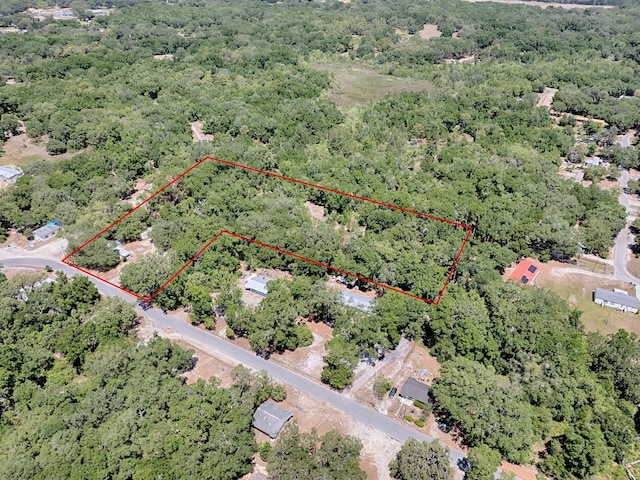 1203 High St, Wildwood, FL 34785 - photo 4