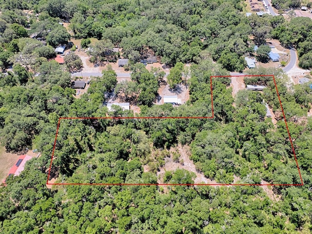 1203 High St, Wildwood, FL 34785 - photo 8