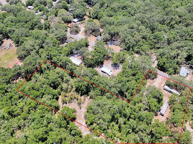 1203 High St, Wildwood, FL 34785 - photo 9