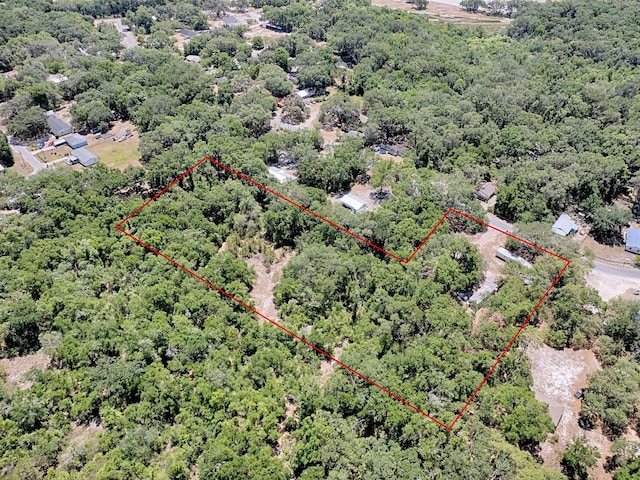 1203 High St, Wildwood, FL 34785 - photo 10