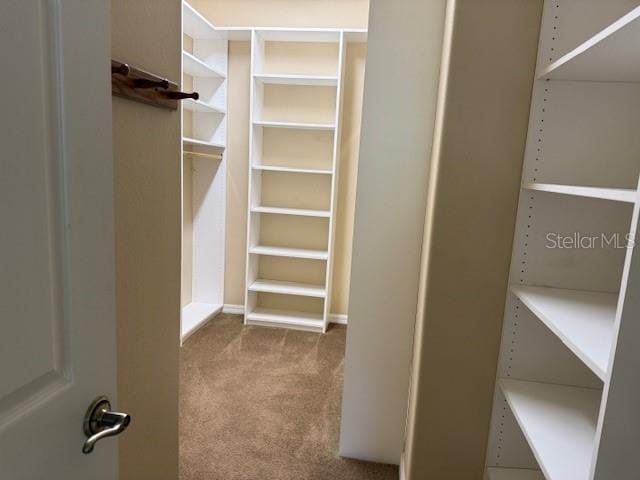 3083 Pinnacle Ct, Clermont, FL 34711 - spacious closet with carpet flooring