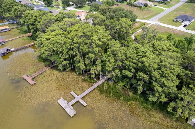 3141 Brighton Rd, Eustis, FL 32726 - aerial view of property's location featuring a large body of water