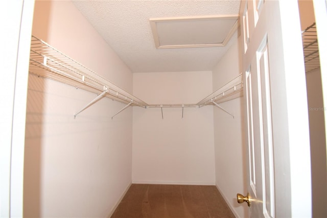 spacious closet with carpet floors