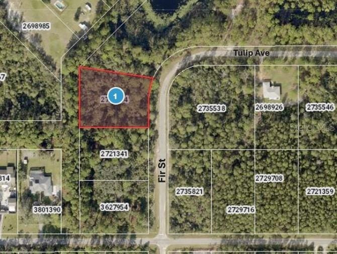 Fir St, Eustis, FL 32736 - photo 1