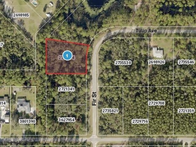 Fir St, Eustis, FL 32736 - photo 1