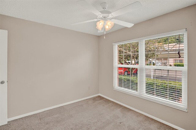 4804 Myrtle Oak Dr Unit 11, New Port Richey, FL 34653 - photo 12
