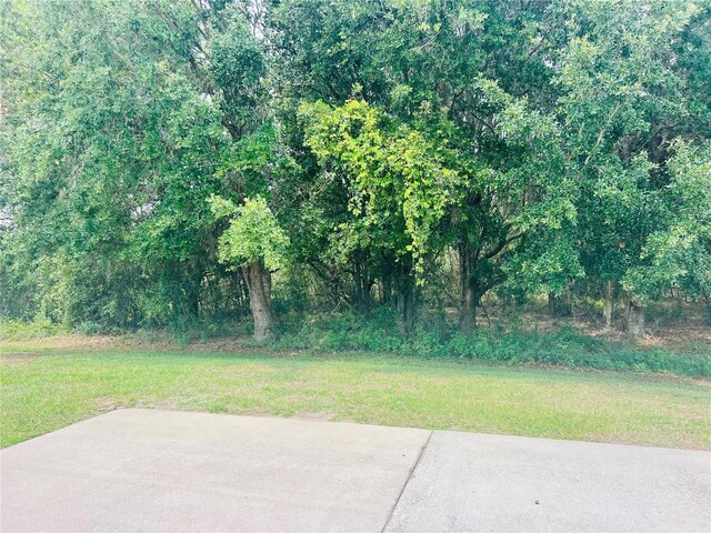 9413 SE 49th Ter, Webster, FL 33597 - photo 6
