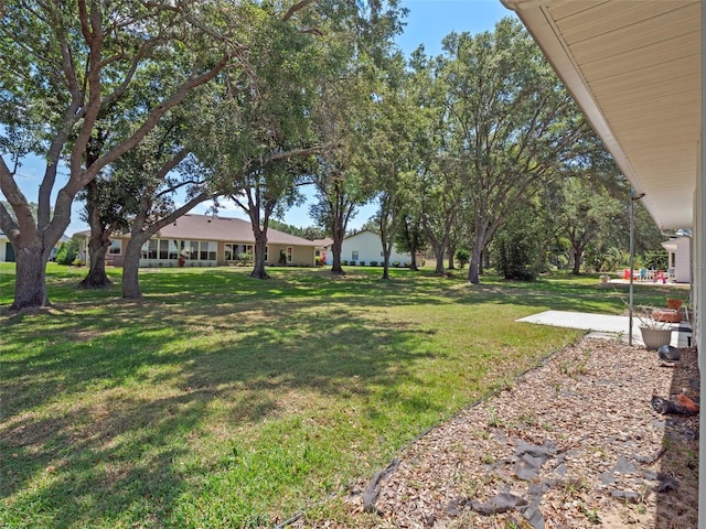 view of green lawn