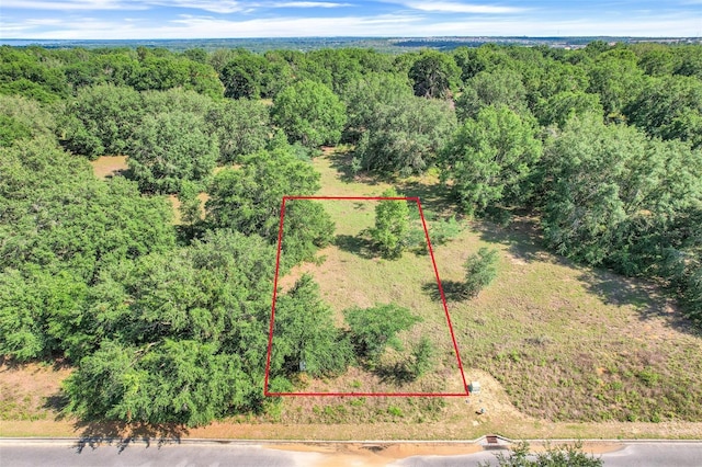 3438 Ridge Run Dr, Minneola, FL 34715