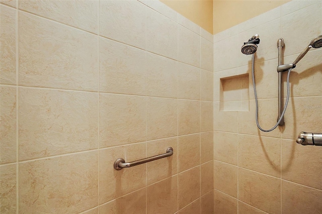 1053 Alcove Loop, The Villages, FL 32162 - bathroom view of tiled shower