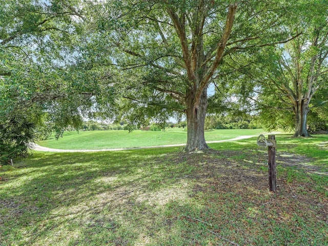 563 Dowling Cir, Lady Lake, FL 32159 - view of grassy yard