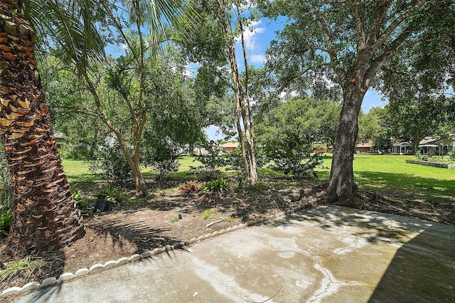 5618 Rosewall Cir, Leesburg, FL 34748 - view of green lawn with a patio area