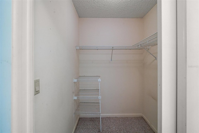 5618 Rosewall Cir, Leesburg, FL 34748 - walk in closet with carpet floors