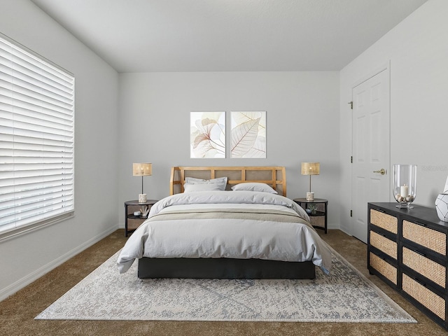 8601 SE 133rd St, Summerfield, FL 34491 - bedroom with carpet flooring and baseboards