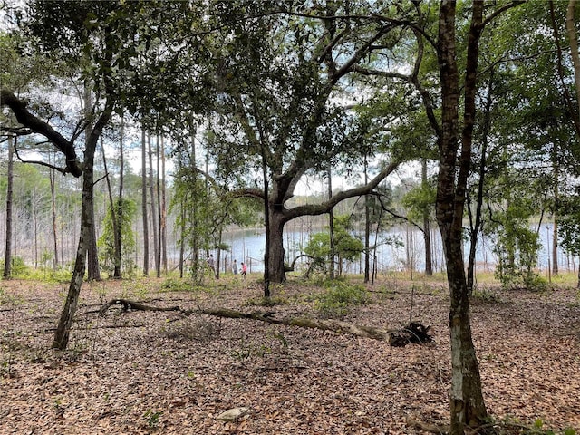 SE 49th Street Rd, Ocklawaha, FL 32183 - photo 2